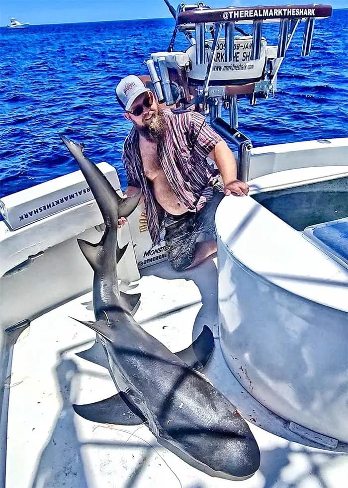 Captain Mark The Shark holding a shark catch aboard the charter boat