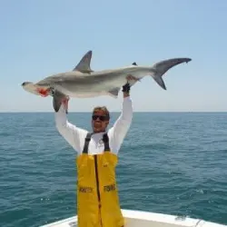 Captain Mark the Shark photo album cover