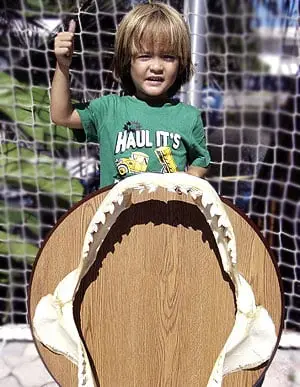 1400 LB Tiger Shark Jaws on Wood Plaque