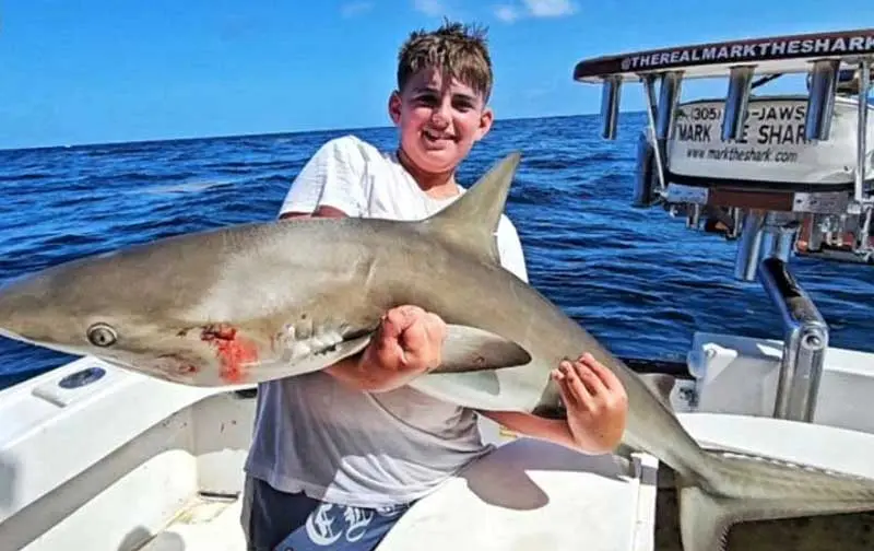 2 Sailfish: Monster Kids fishing charter photo