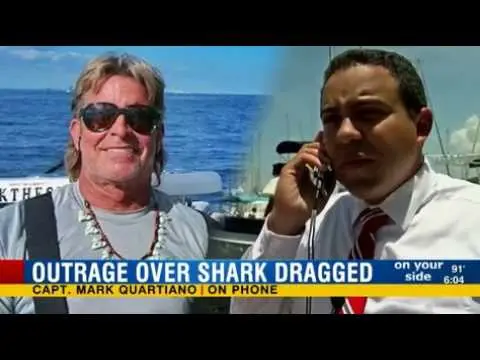 FWC continues investigation into disheartening and disturbing shark dragging video, thanks concerned citizens