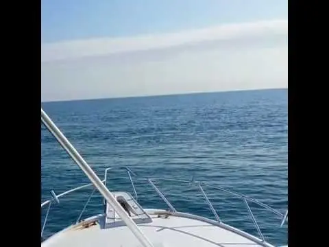 Mark the Shark Finds Floating Brick of Cocaine While Fishing Off Miami