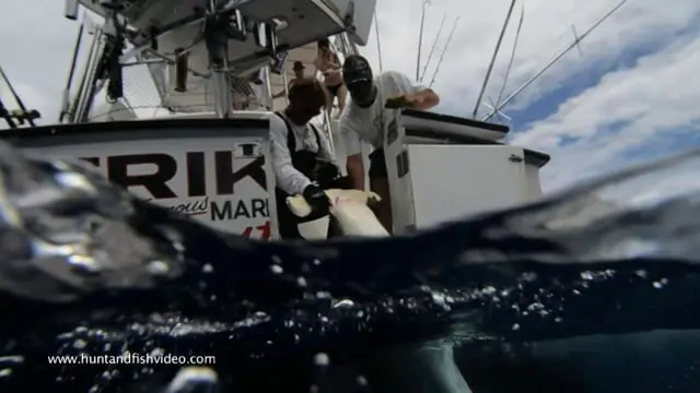 Discovery TV clip