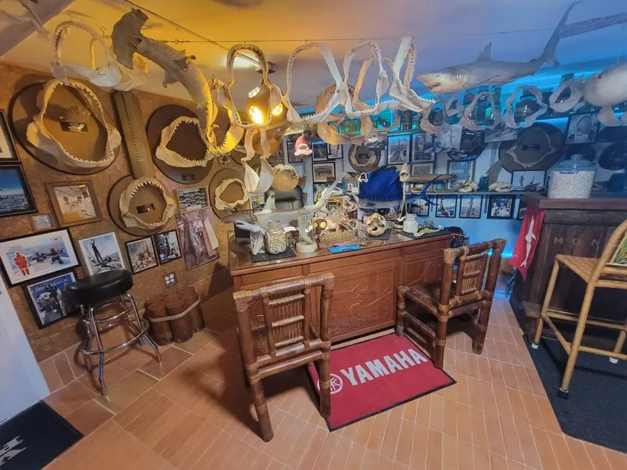 Sea Life and Shark Museum