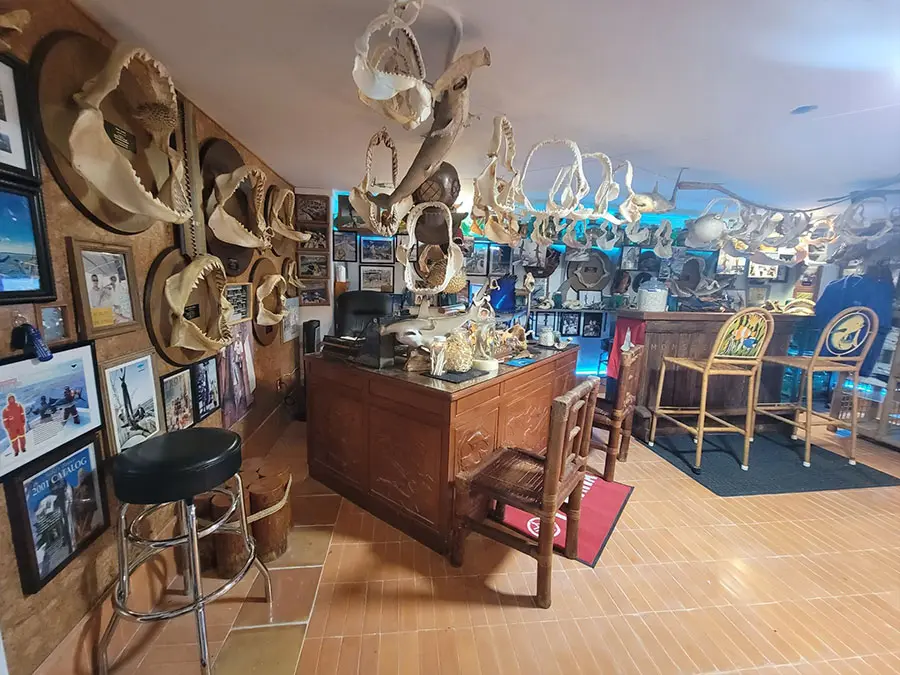 Sea Life and Shark Museum